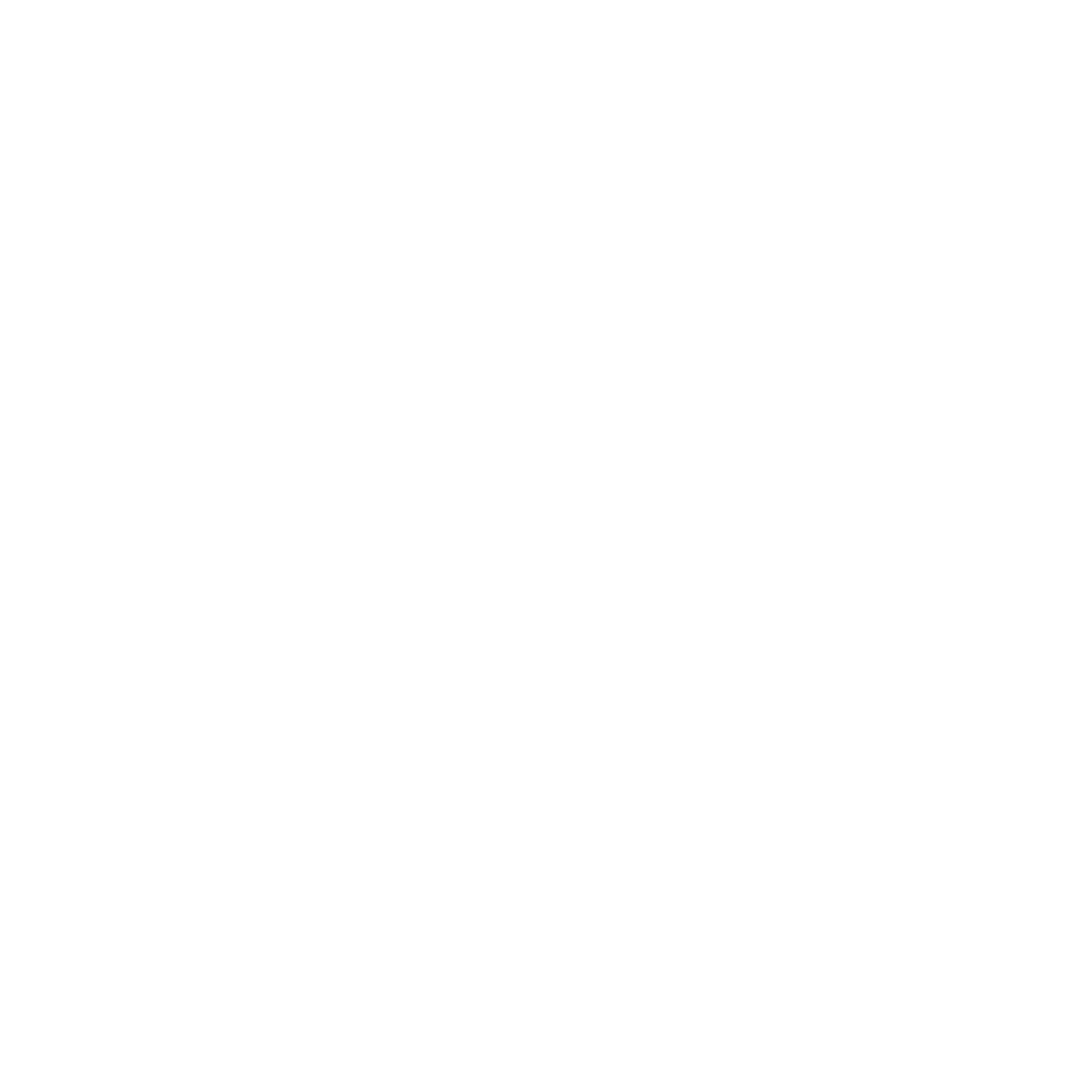 TENN athletic logo