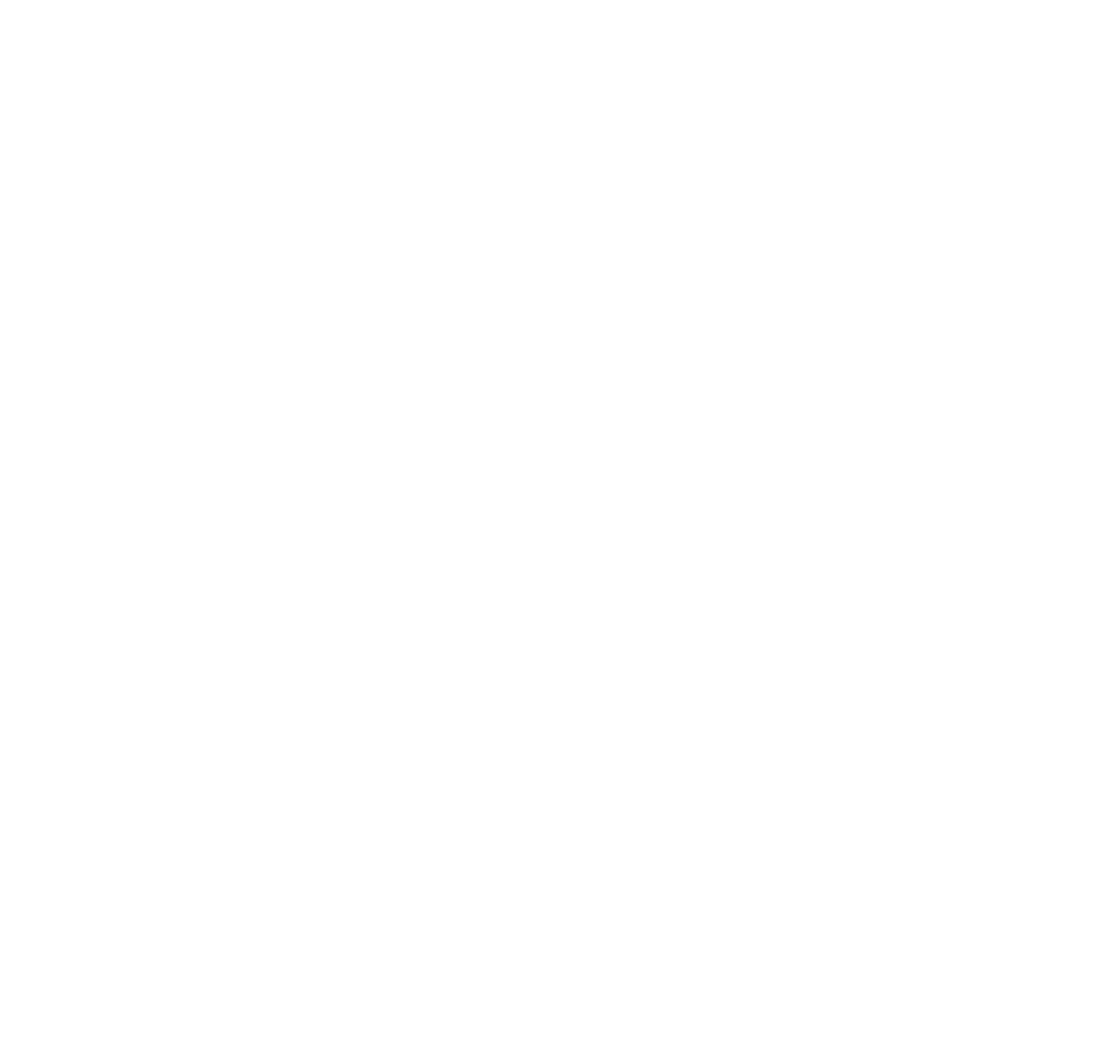 UNT athletic logo