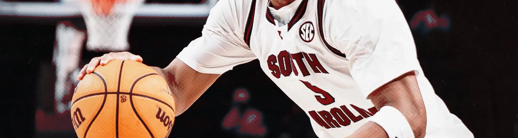 Meechie Johnson banner