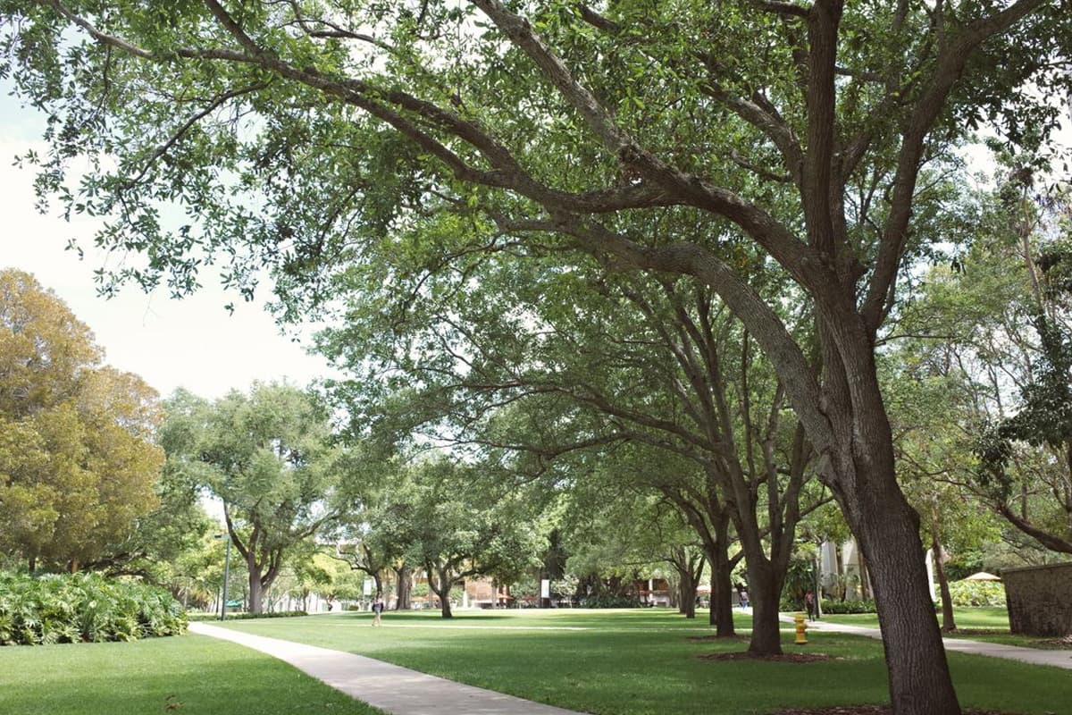 Campus Portrait Walk