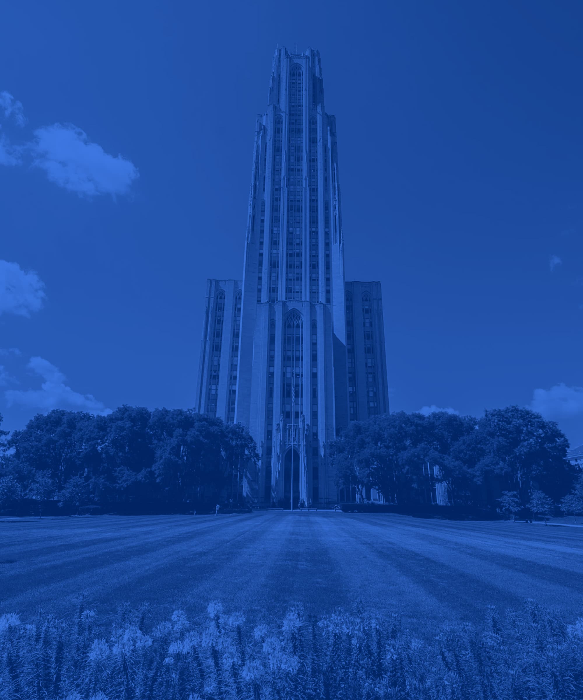 Pitt campus hero