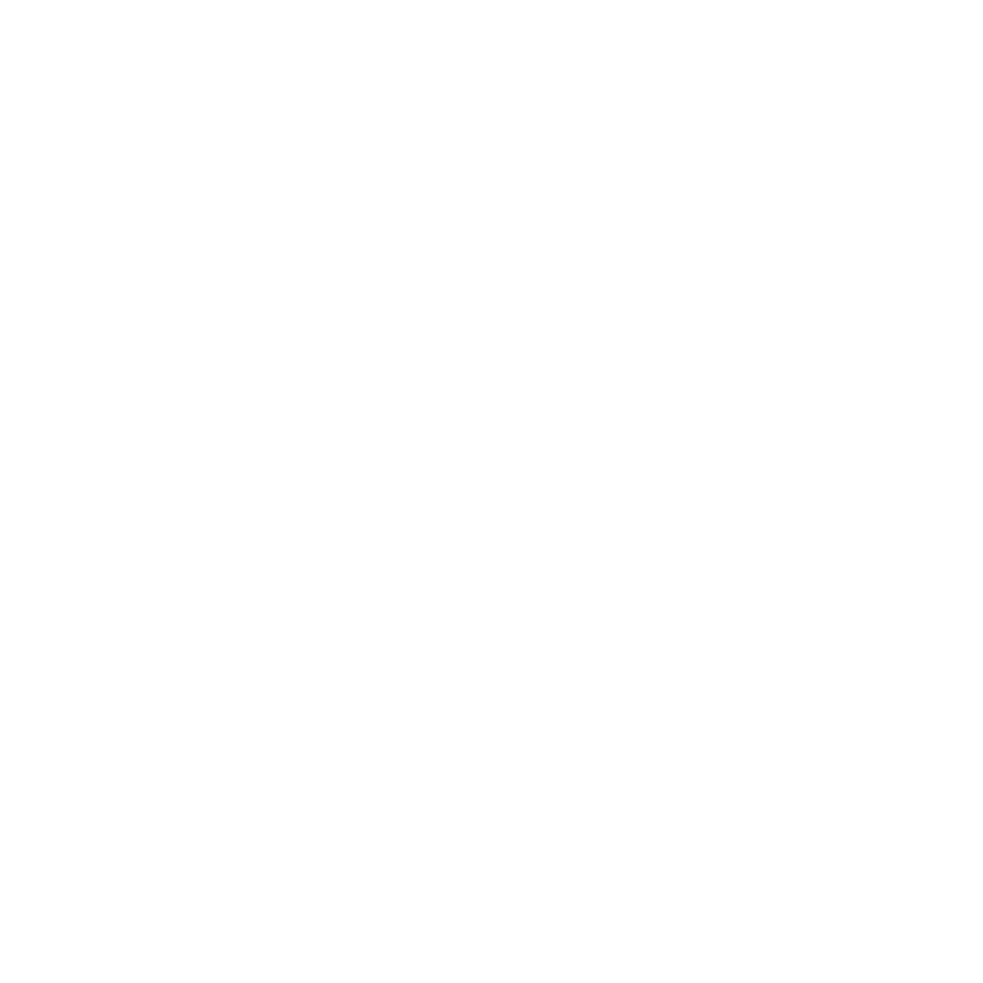 TENN athletic logo