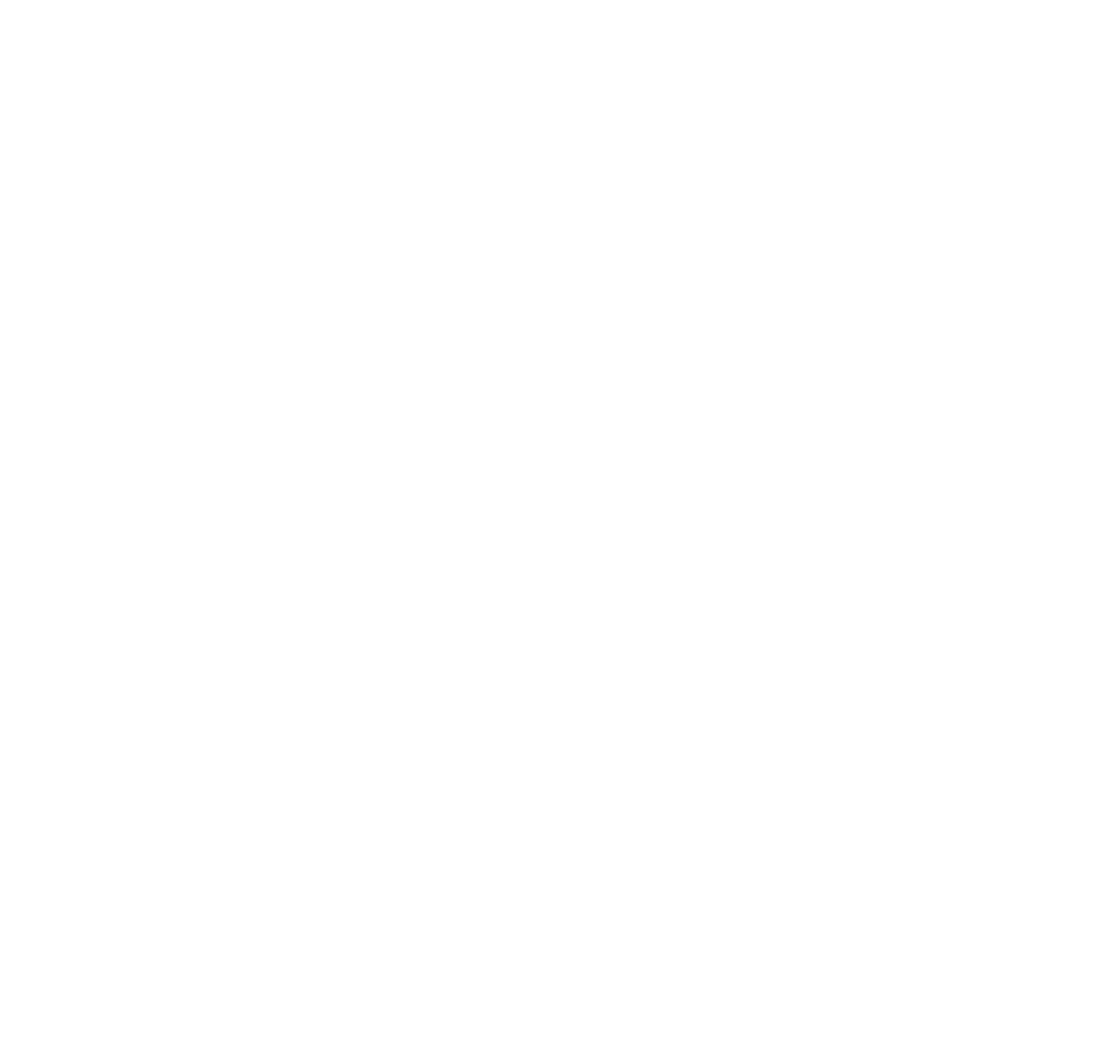 UNT athletic logo